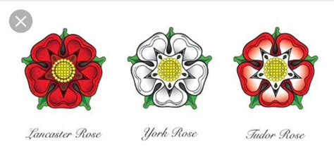 tudor roase|tudor rose of york.